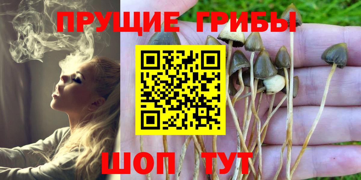 Мытищи  Галлюциногенные грибы мицелий  Вход с VPN  Галлюциногенные грибы мухоморы 