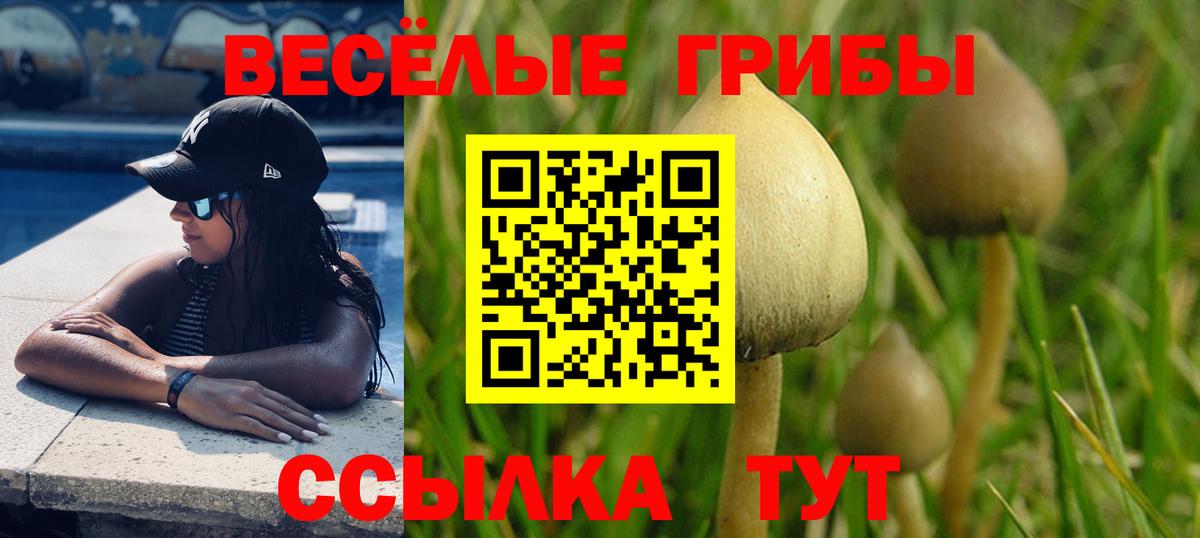 Псилоцибиновые грибы Psilocybine cubensis Мытищи